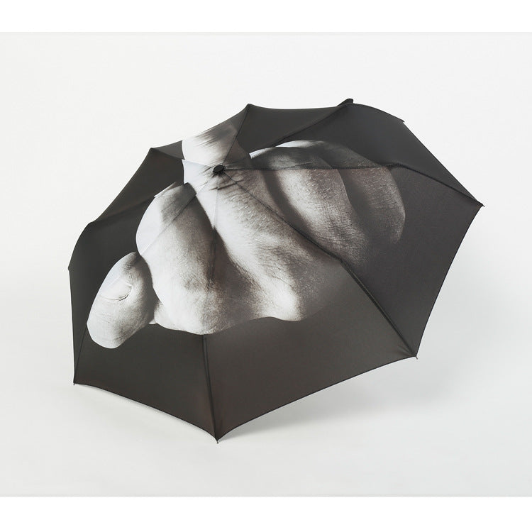 The Umbrella That Talks Back to the Rain