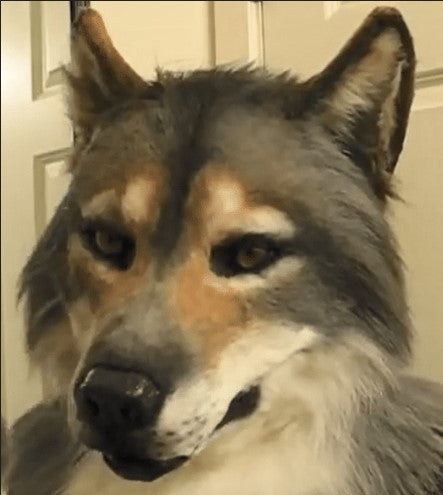 Moving Jaw Beast Mask: Hand-Finished Articulated Creature